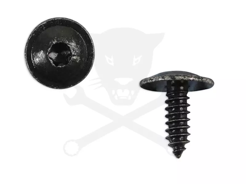 Acél rögzítőcsavar Torx kialakítású fejjel VW gépk. 10 db -
