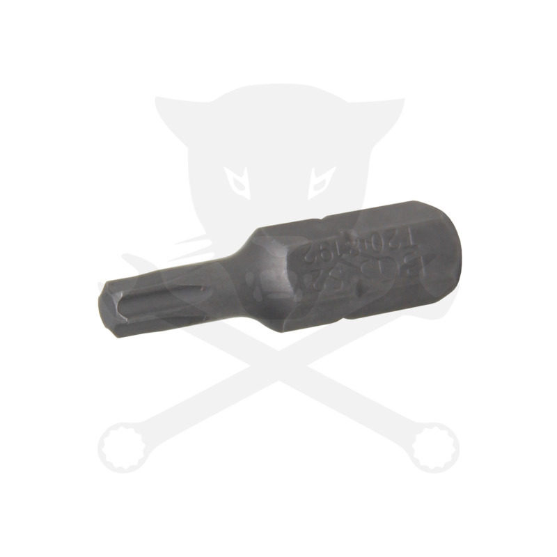 Bit torx 1/4" T20*25 mm BGS