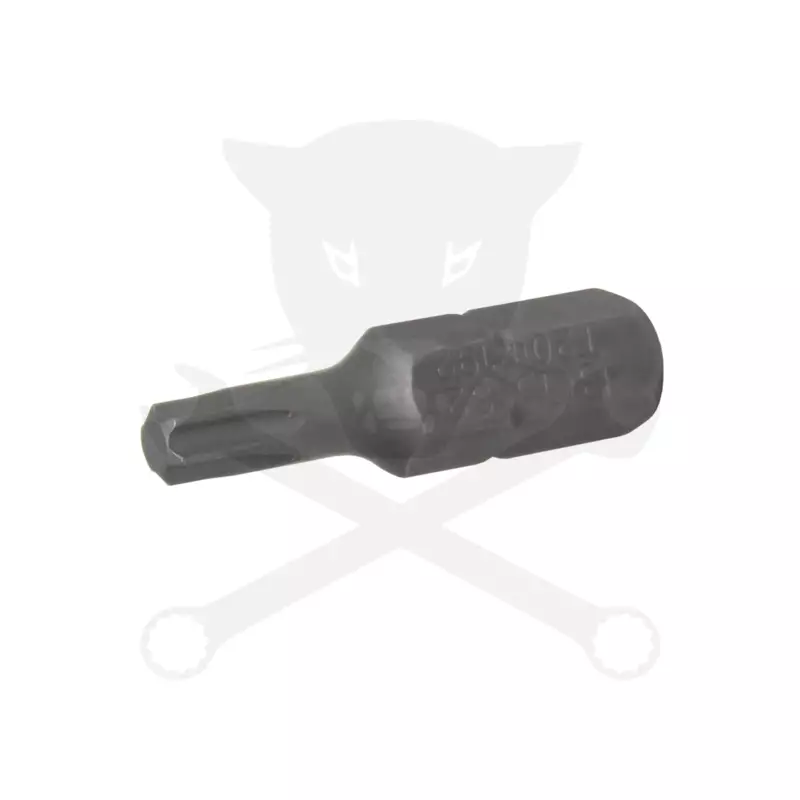 Bit torx 1/4" T20*25 mm BGS
