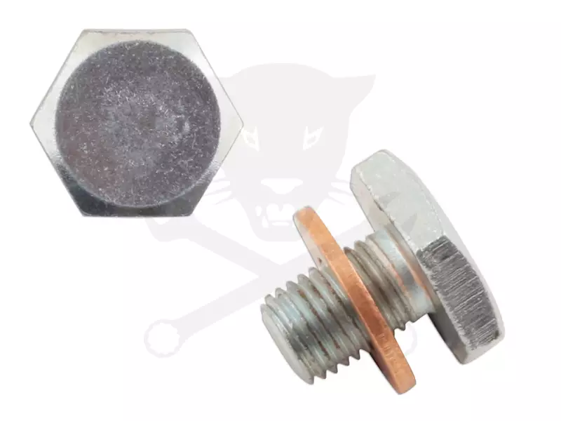 Olajleeresztő csavar 19 mm BMW/Land Rover/Citroen/Mazda 1 cs.+1a -