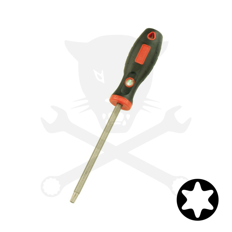 Csavarhúzó torx T15 - Genius