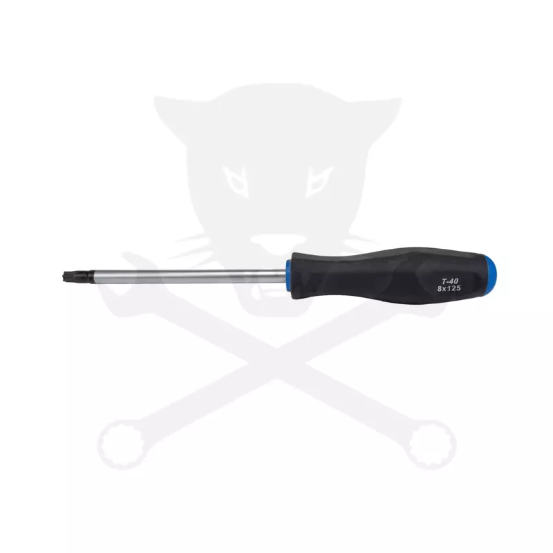 Csavarhúzó torx - lyukas - T40 - 125 mm - BGS