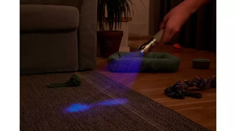Szerelőlámpa LED UV lámpa - UV-A / 3xAAA - Varta