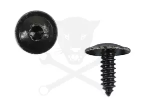 Acél rögzítőcsavar Torx kialakítású fejjel VW gépk. 10 db -