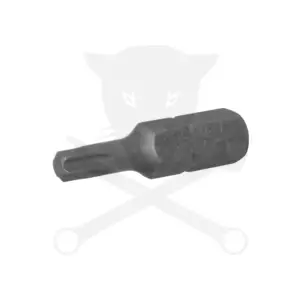 Bit torx 1/4" T20*25 mm BGS