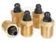 Pichler fékmunkahenger légtelenítő csavar 5 db 1/4" NPT