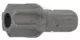 Bit furatos torx TPX60 5/16" 30mm - BGS
